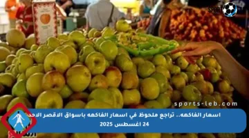 أسعار الفاكهة.. تراجع ملحوظ في أسعار الفاكهة بأسواق الأقصر الأحد 24 أغسطس 2025